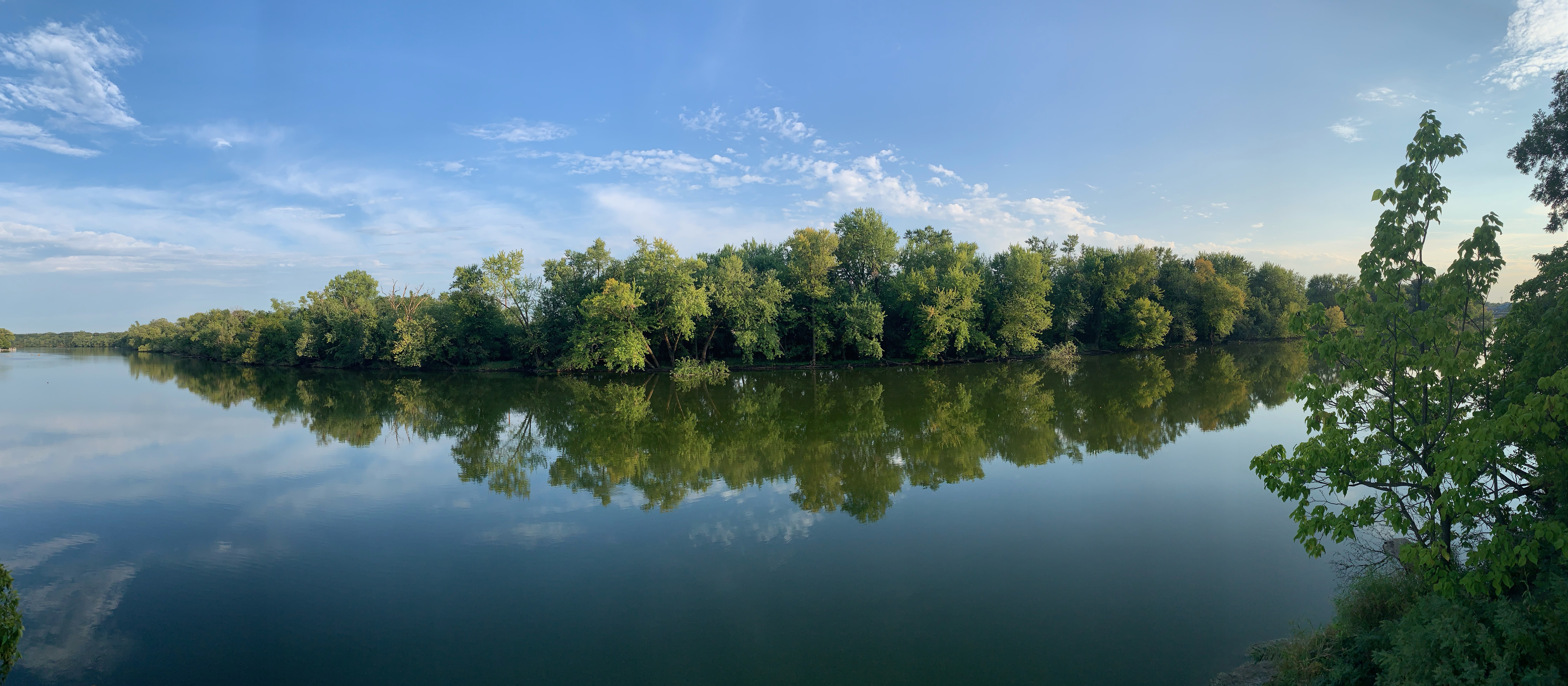 Trees reflecting on the Rock River