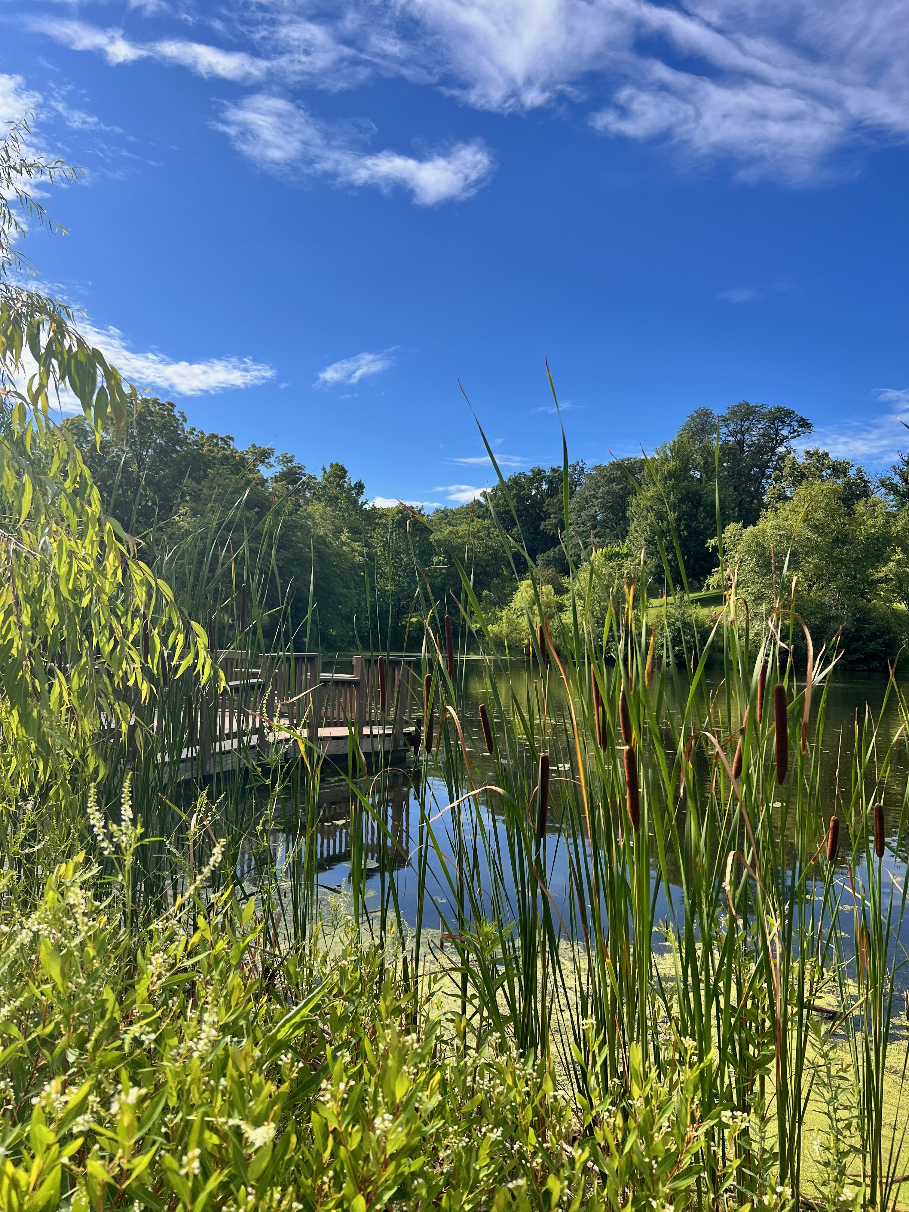 Prospect Park, Moline